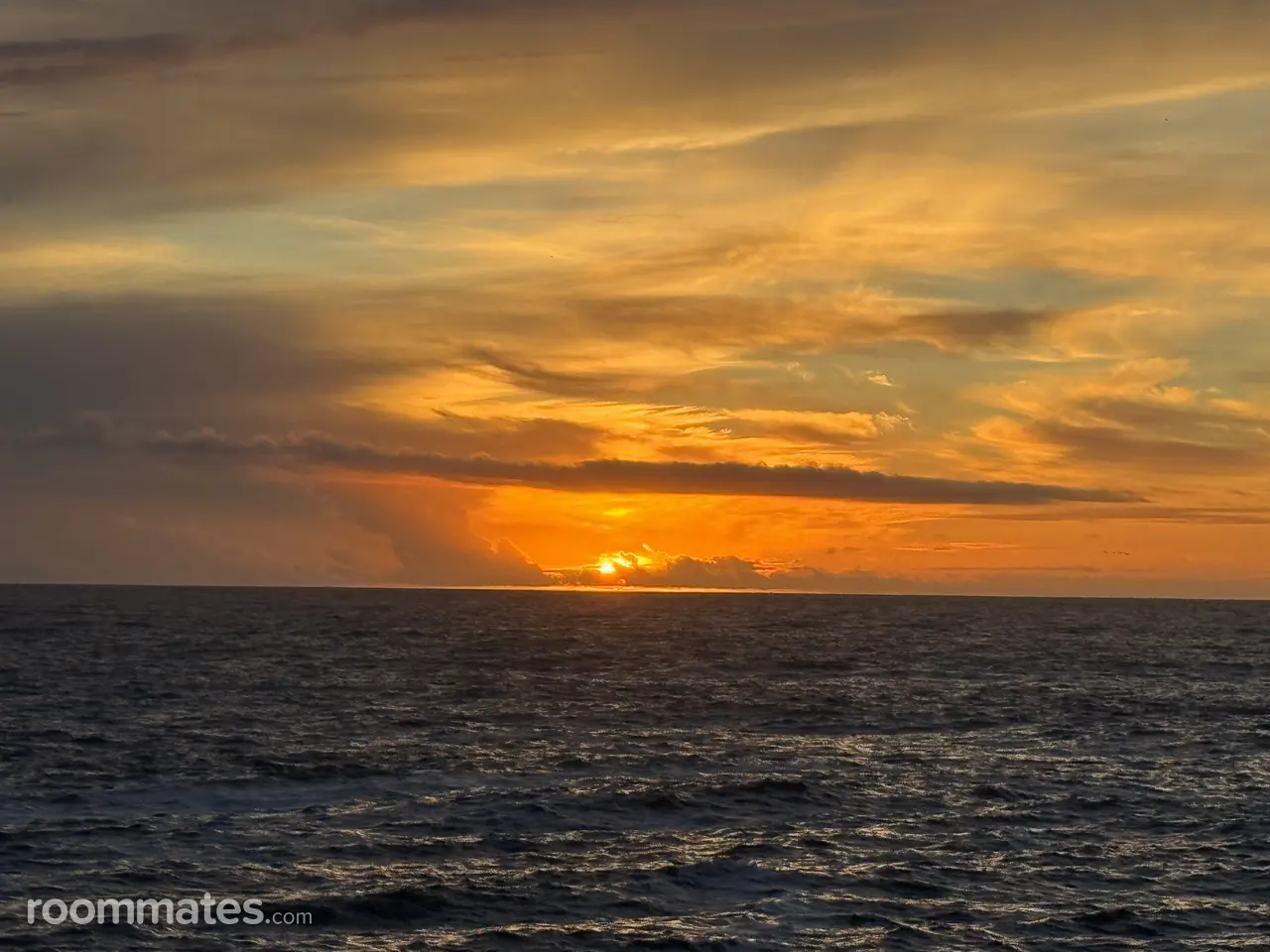 Profile photo 2 of 4