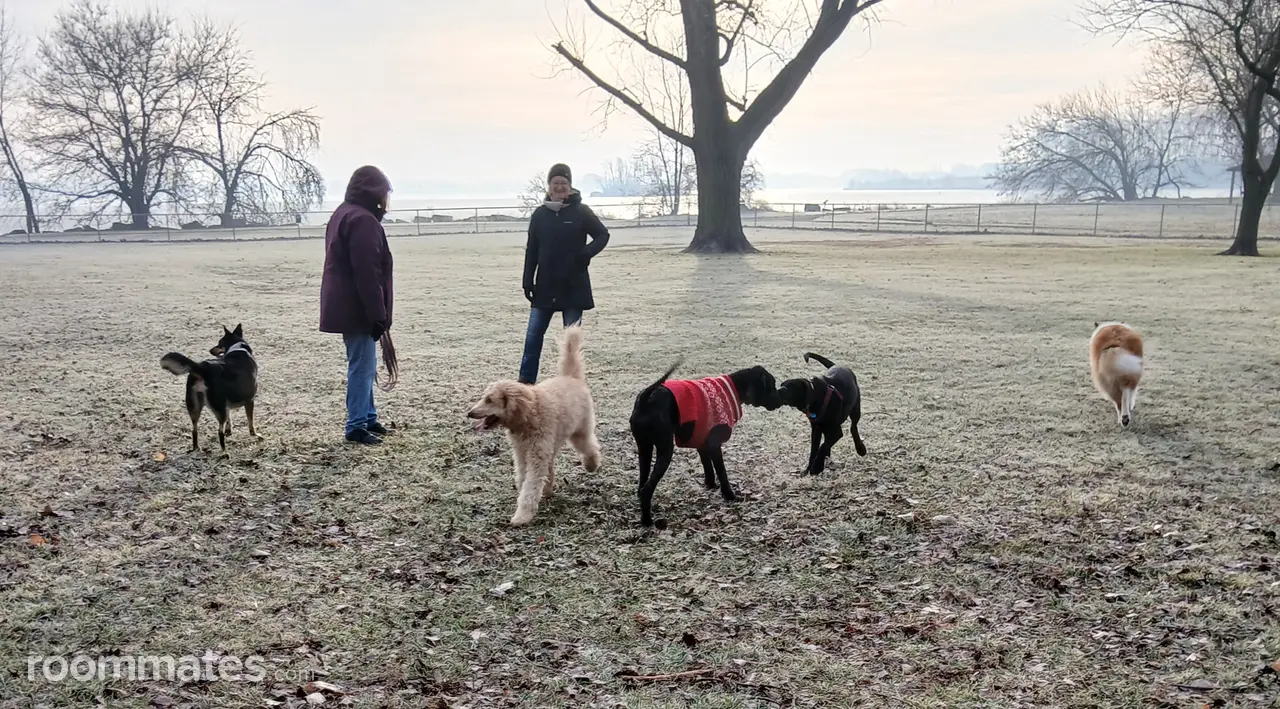 Profile photo 5 of 11