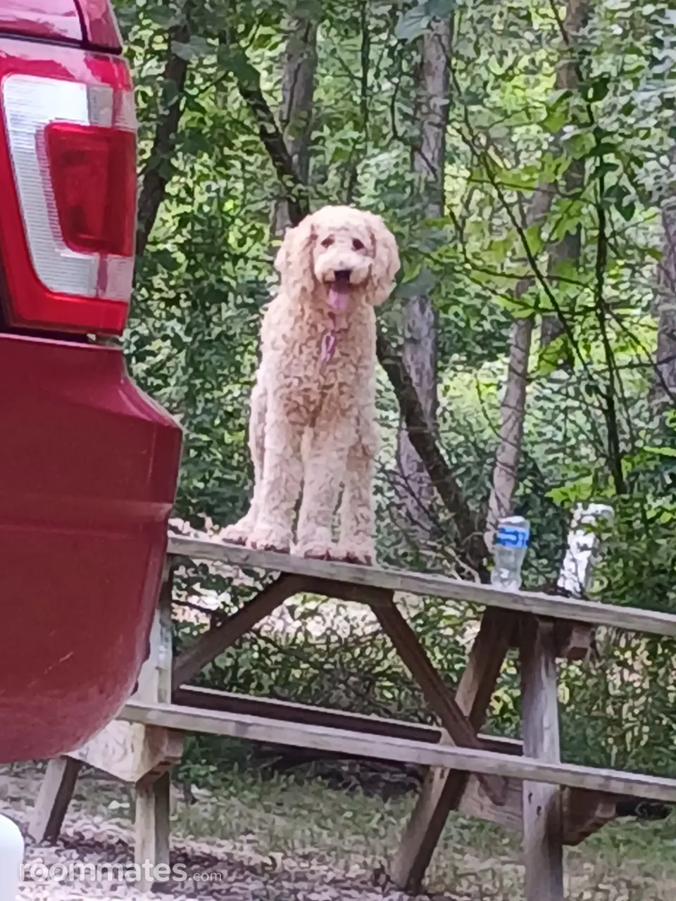 Profile photo 6 of 11