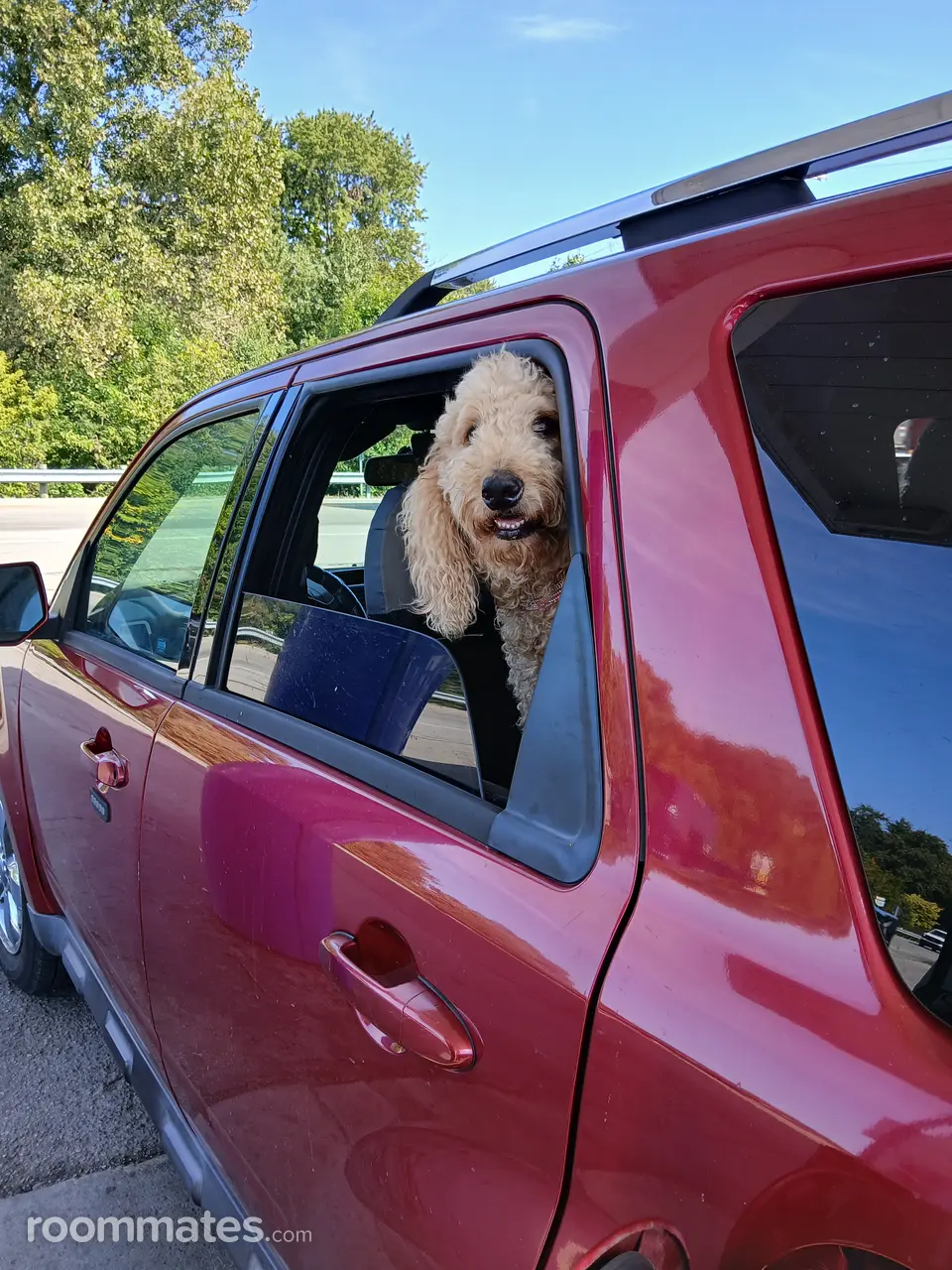 Profile photo 9 of 11