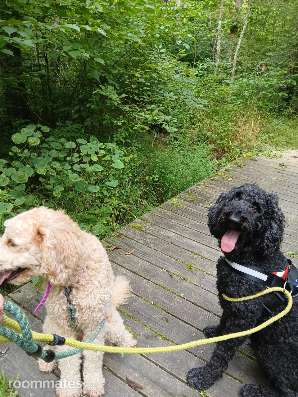 Profile photo 10 of 11