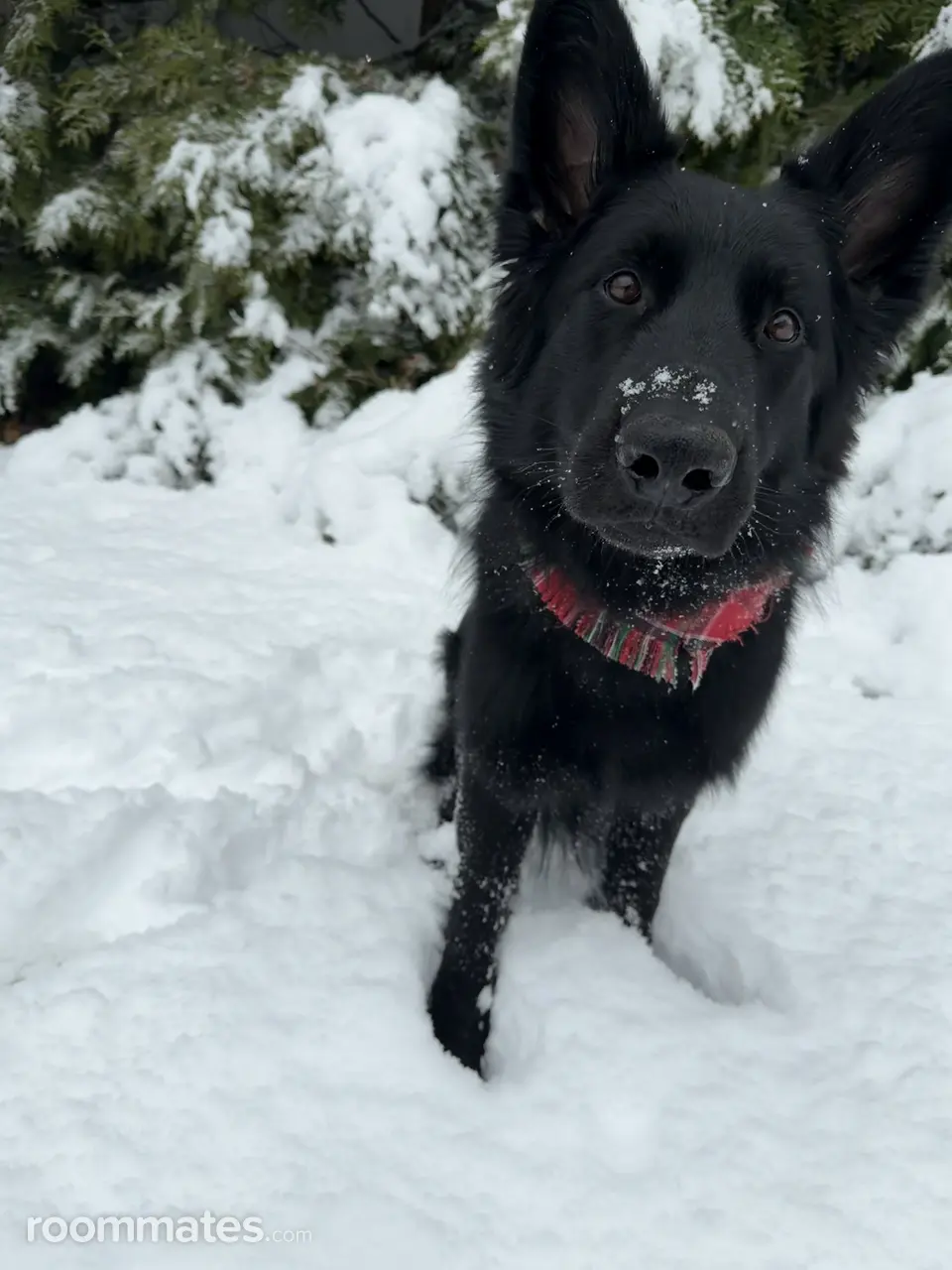 Profile photo 7 of 12