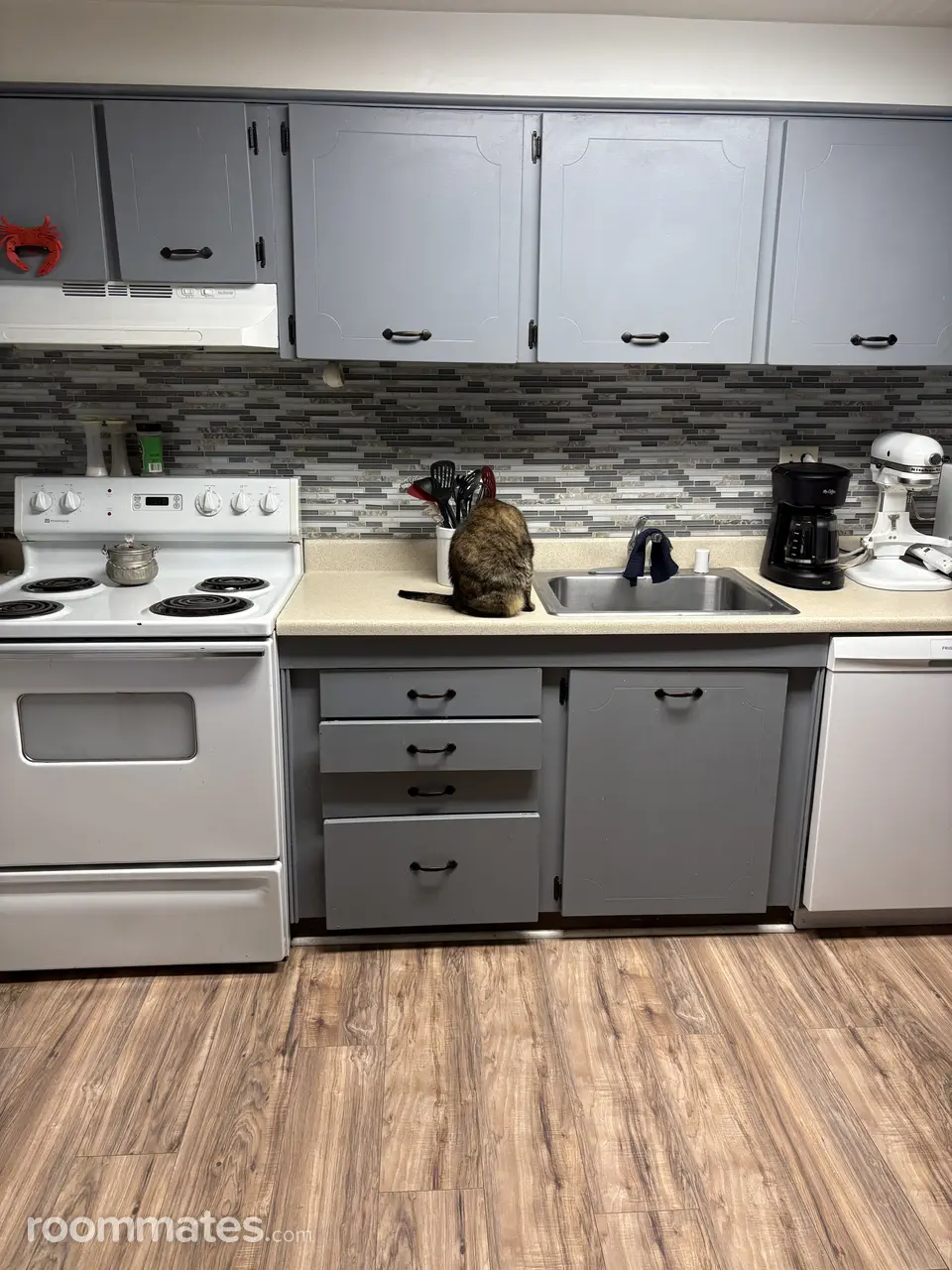 Profile photo 1 of 2