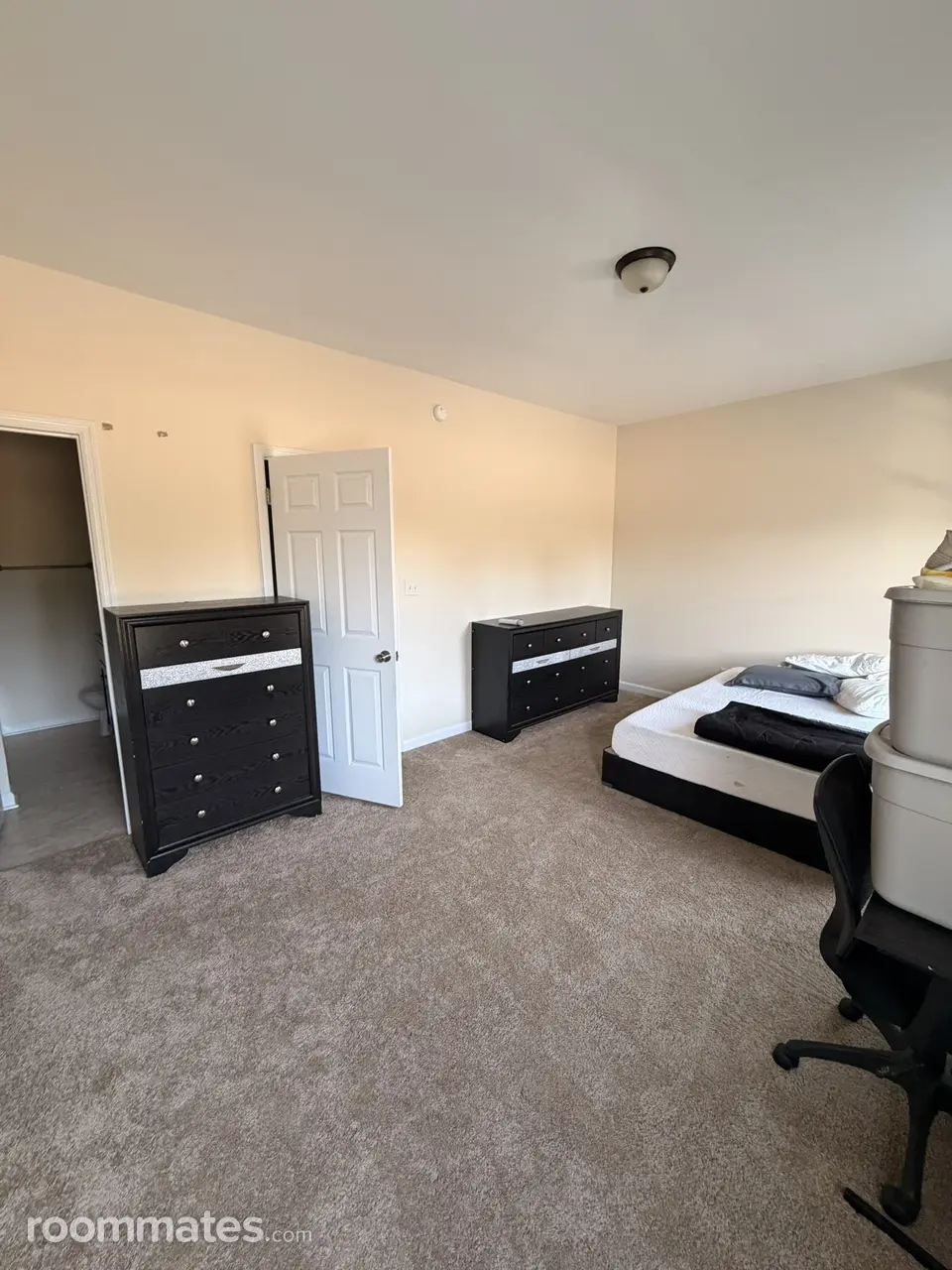 Profile photo 7 of 8