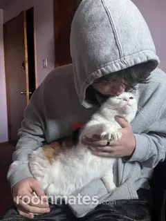 Roommate looking Fruitland Park, FL, $1200