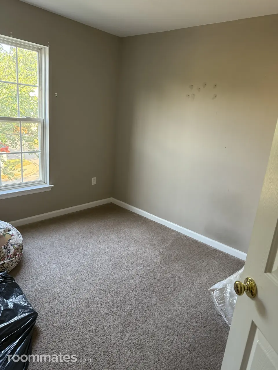 Profile photo 6 of 13