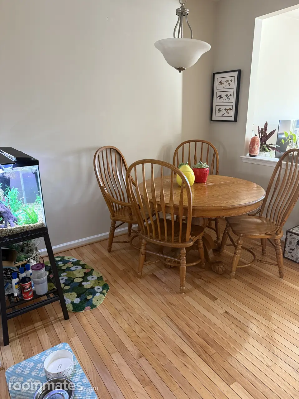 Profile photo 2 of 13