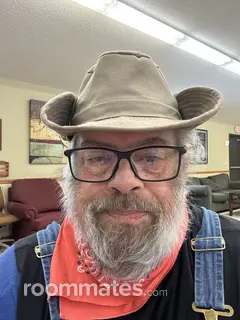 Roommate looking Buffalo, MN, $600