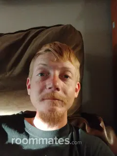 Roommate looking Fort Collins, CO, $500