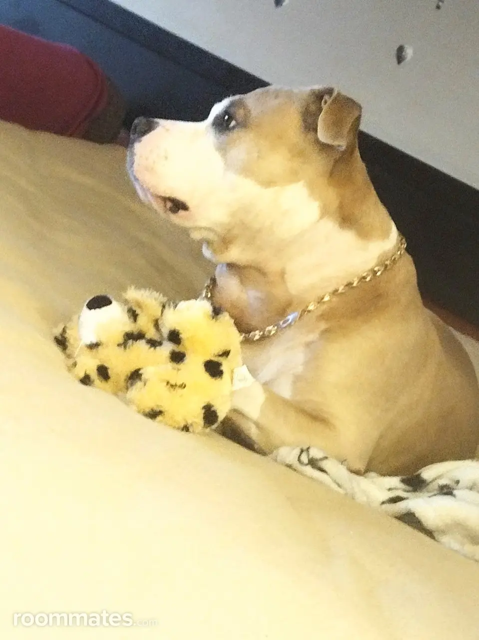 Profile photo 3 of 9