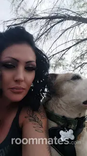 Roommate looking Albuquerque, NM, $800