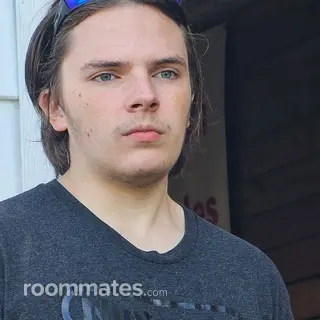 Roommate looking Clemmons, NC, $600