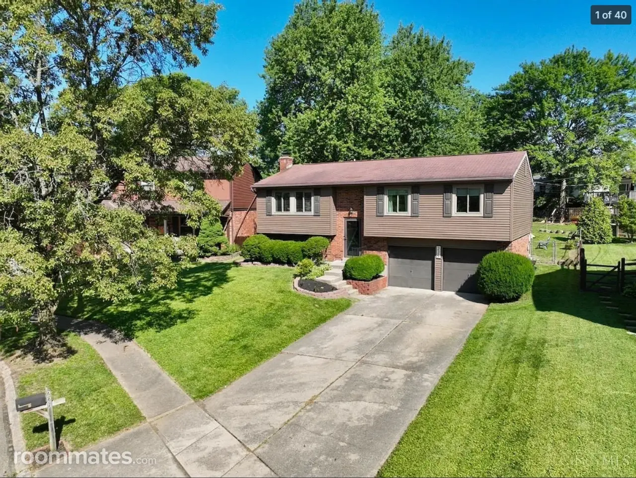 Profile photo 1 of 11