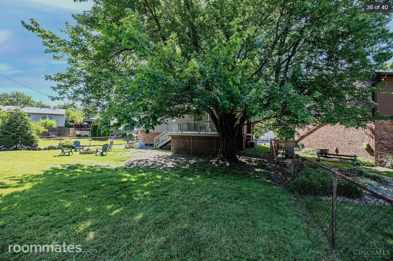 Profile photo 10 of 11