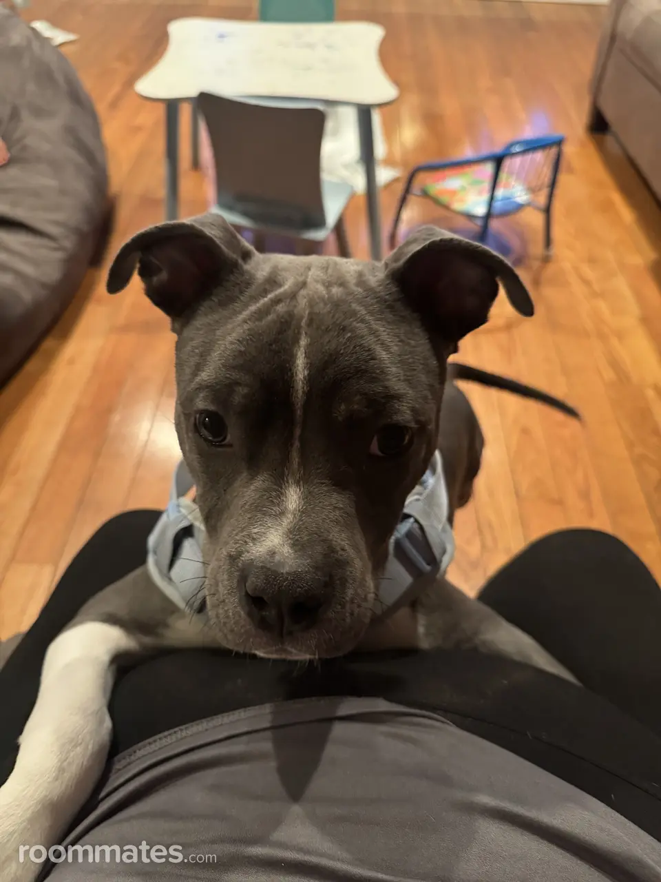 Profile photo 3 of 3