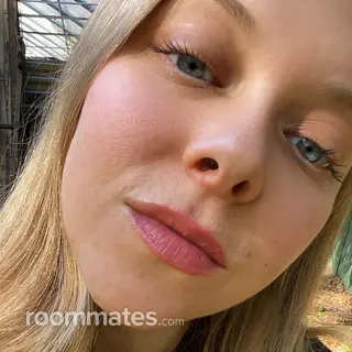 Roommate looking West Milford, NJ, $900