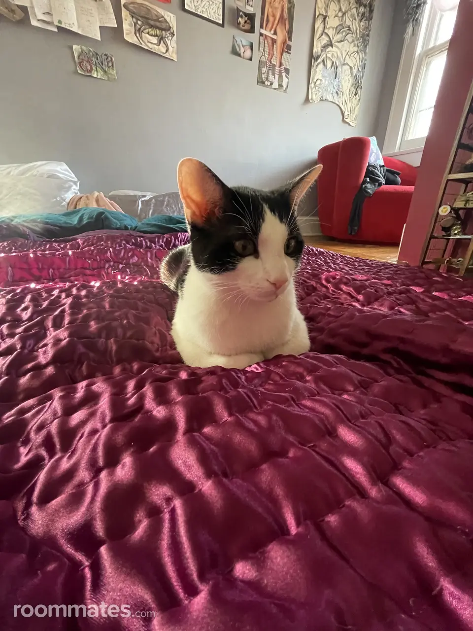 Profile photo 8 of 9