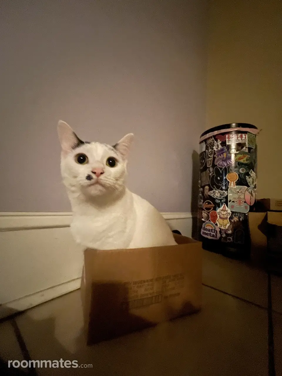 Profile photo 6 of 9