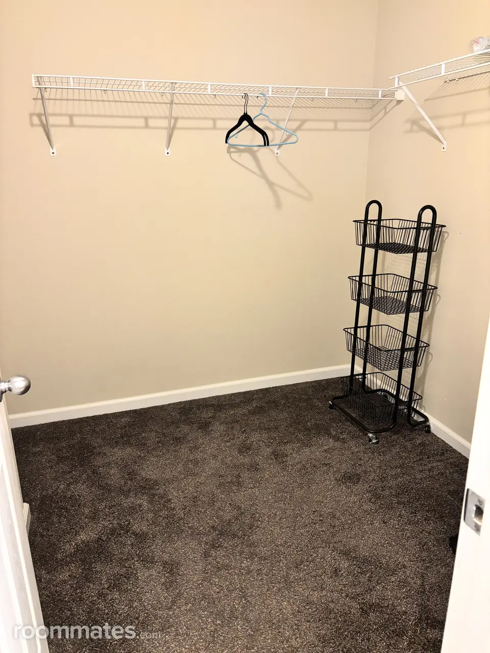 Profile photo 7 of 11