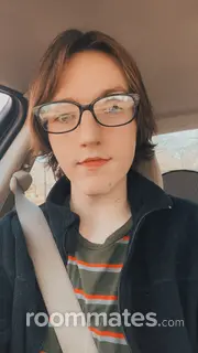 Roommate looking Saint Louis, MO, $200