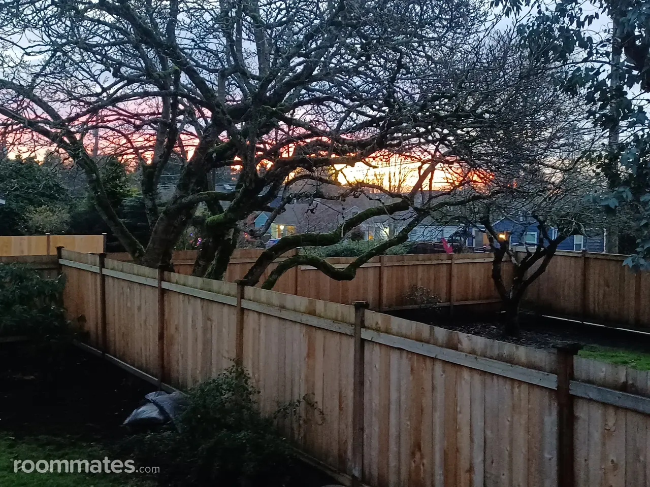 Profile photo 7 of 11