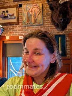 Roommate looking Knoxville, TN, $1100