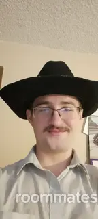 Roommate looking Highlands Ranch, CO, $1100