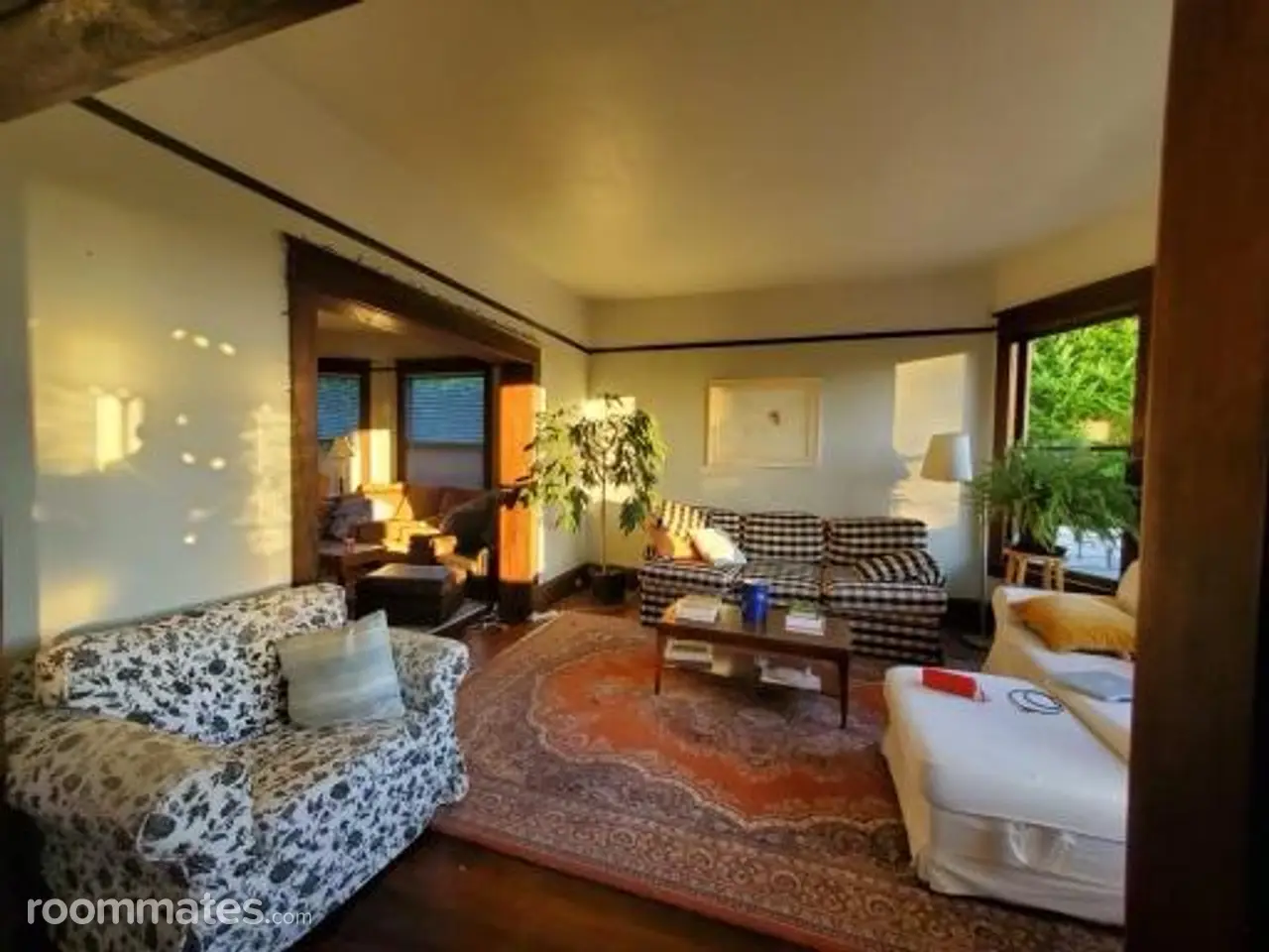 Profile photo 1 of 11