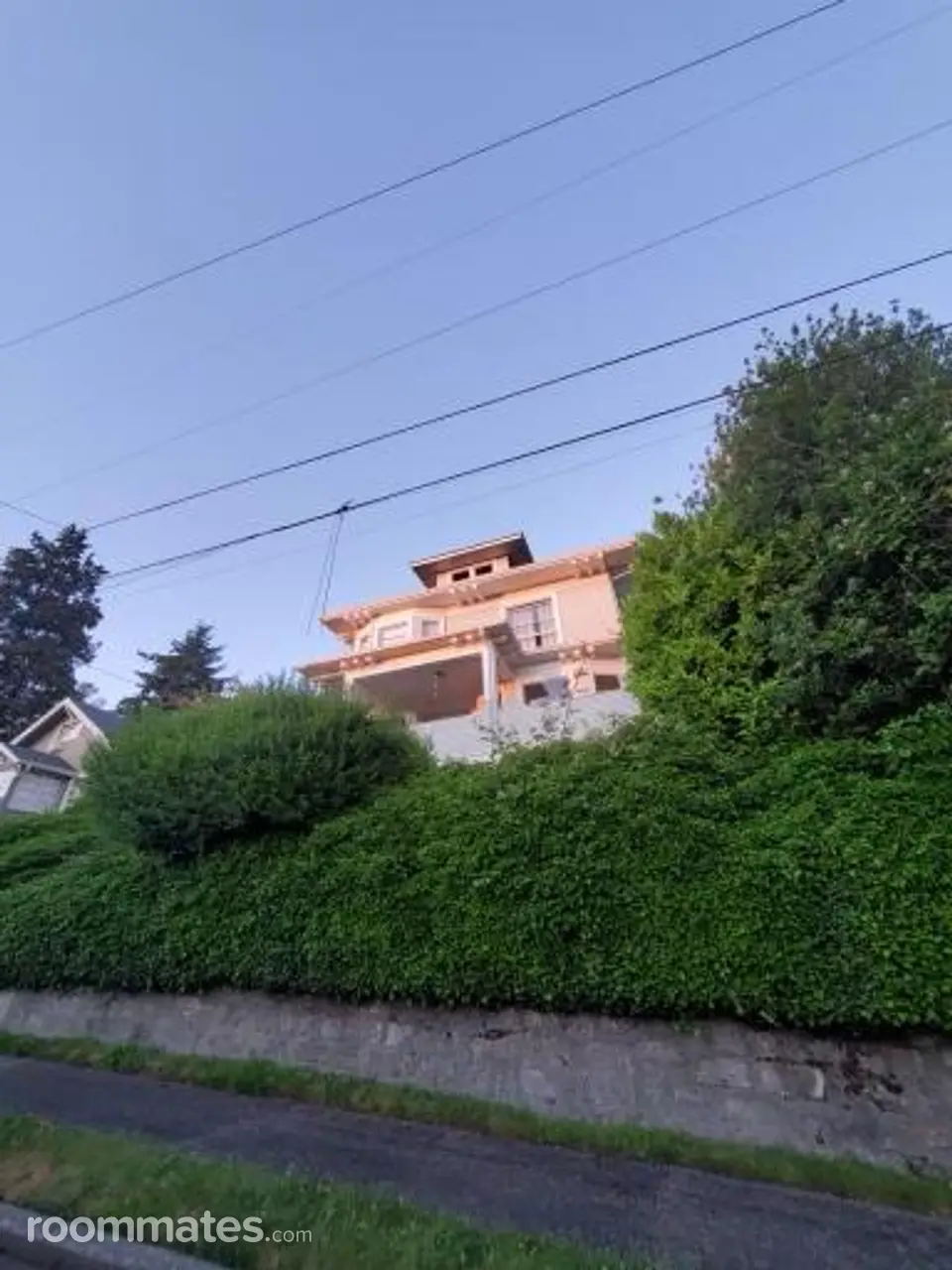 Profile photo 8 of 11