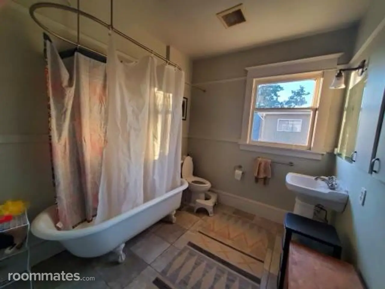 Profile photo 10 of 11