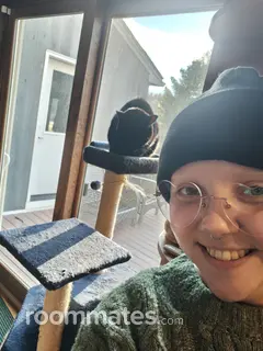 Roommate looking Haverhill, MA, $800