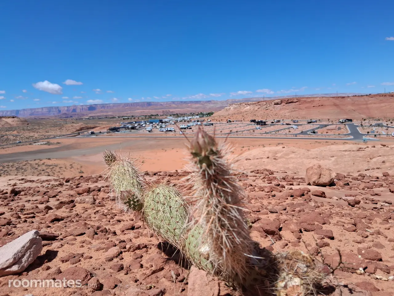 Profile photo 3 of 4