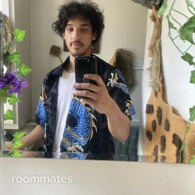 Thumbnail 17