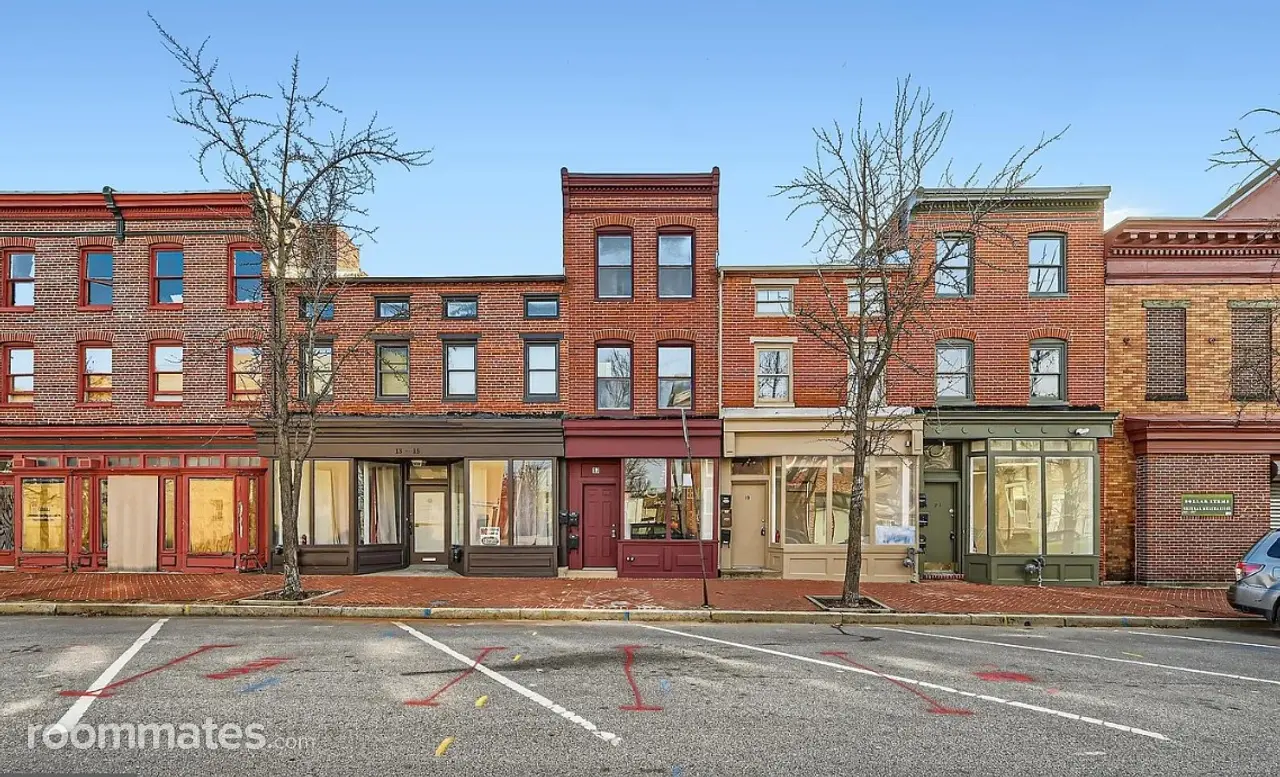 Profile photo 10 of 11