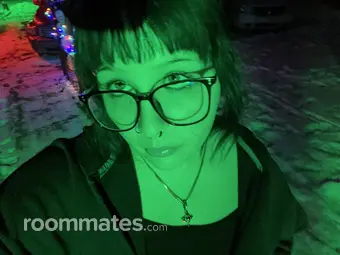 Roommate looking Saint Paris, OH, $600