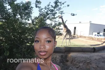 Roommate looking Orange, NJ, $800