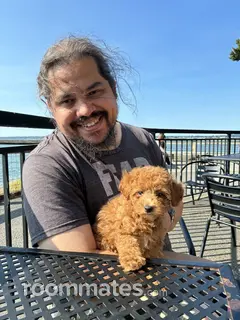 Roommate looking Bellingham, WA, $700