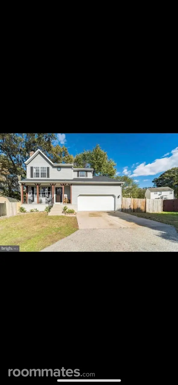 Profile photo 4 of 13