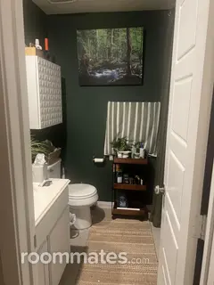 Room for rent in New Braunfels, TX $700, house