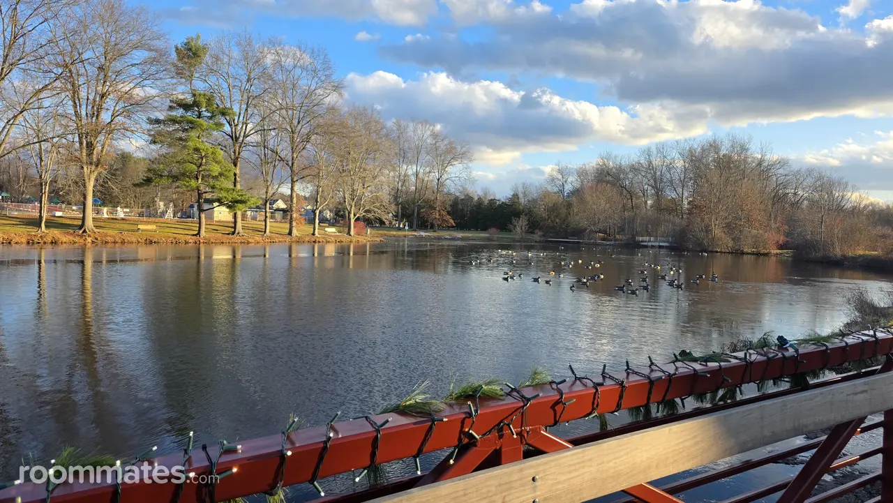 Profile photo 2 of 2