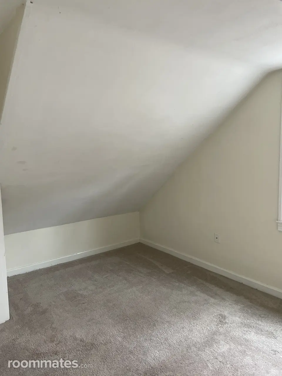 Profile photo 1 of 2