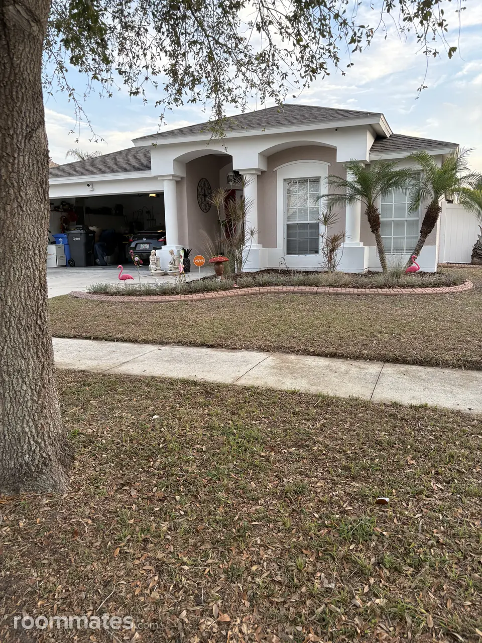 Profile photo 14 of 22