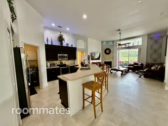 Room for rent in Tampa, FL $1300, house