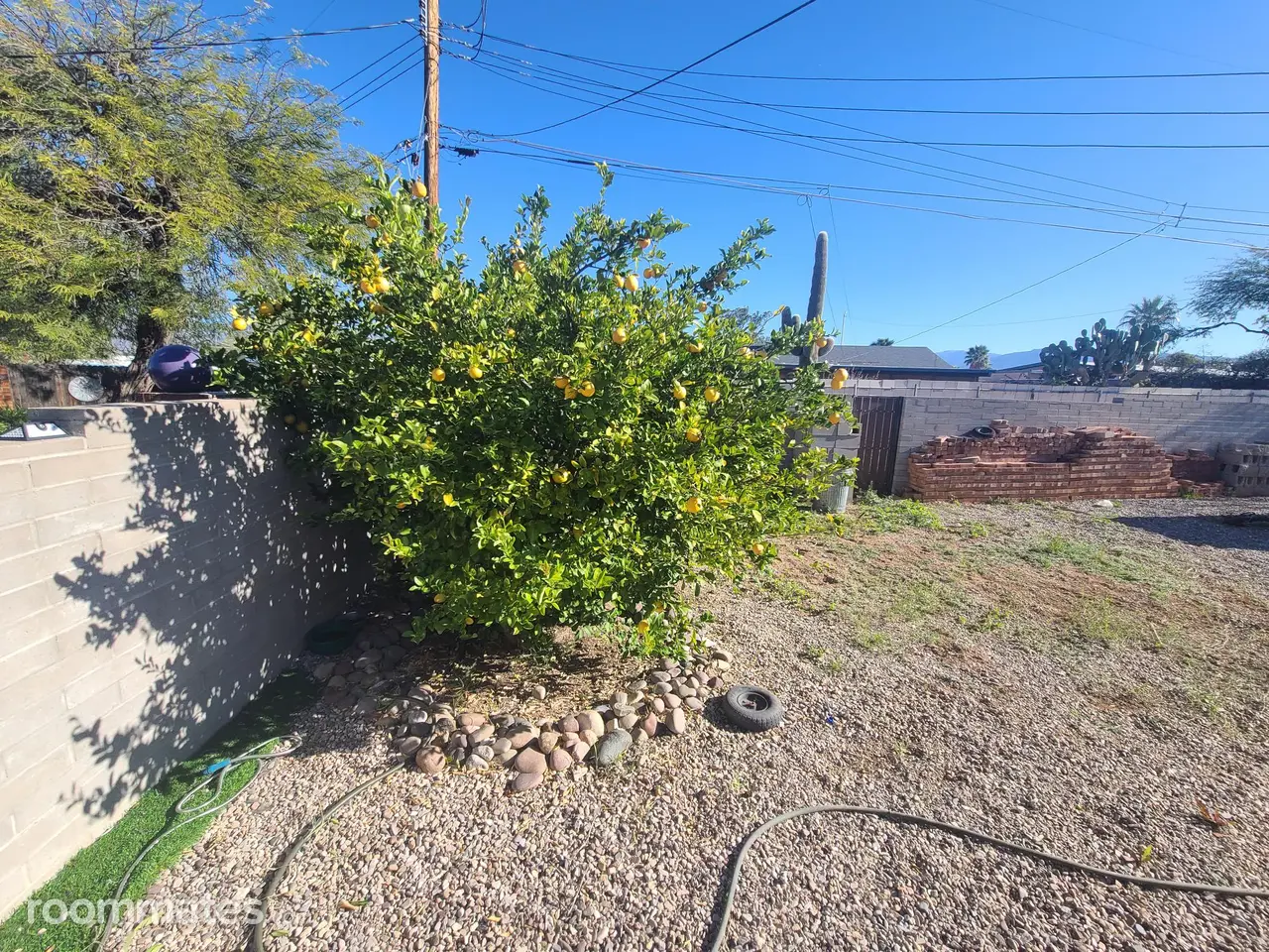 Profile photo 8 of 11