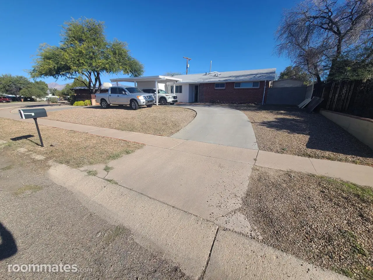 Profile photo 1 of 11