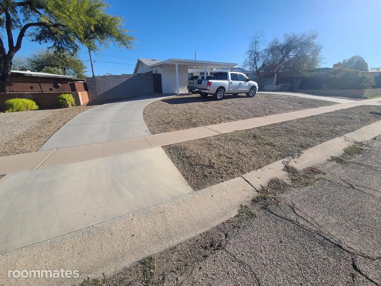 Profile photo 5 of 11