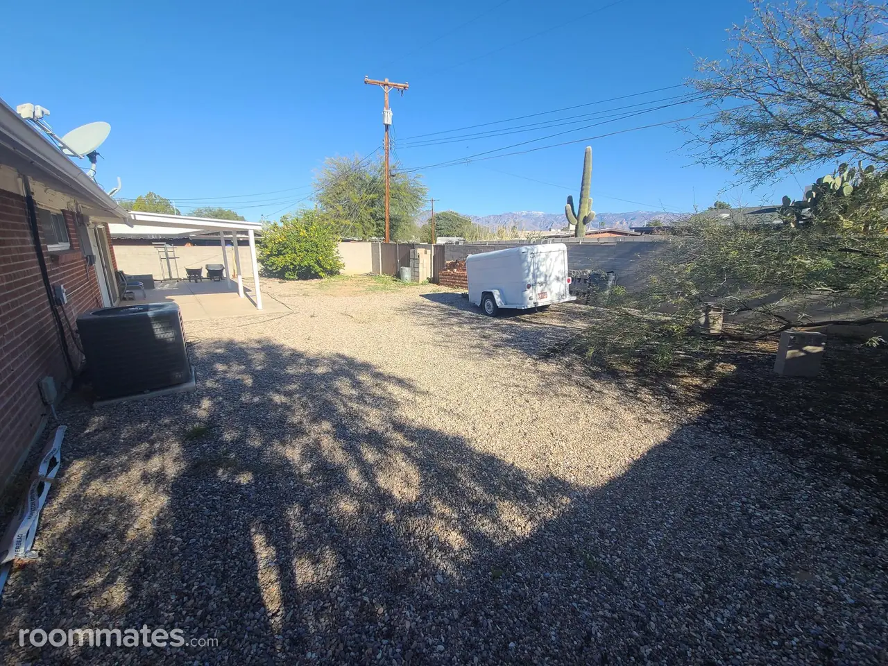 Profile photo 9 of 11