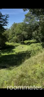 Room for rent in Sunderland, MA $1000, house