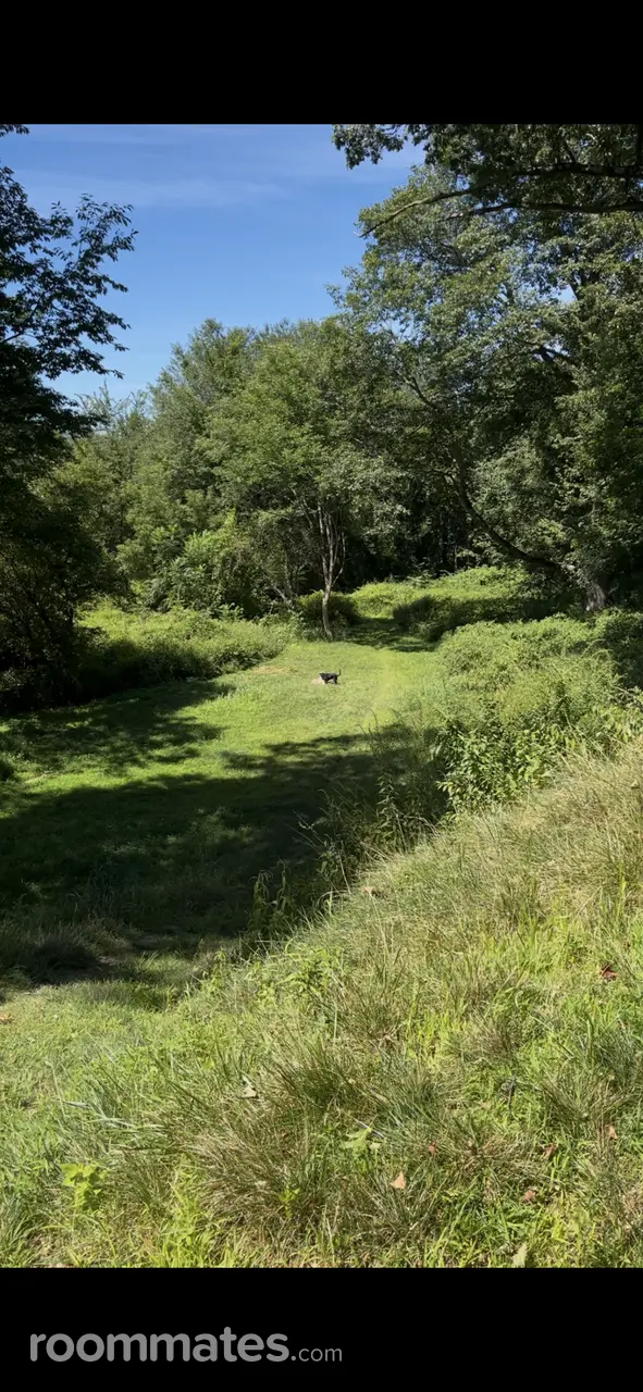 Profile photo 8 of 10