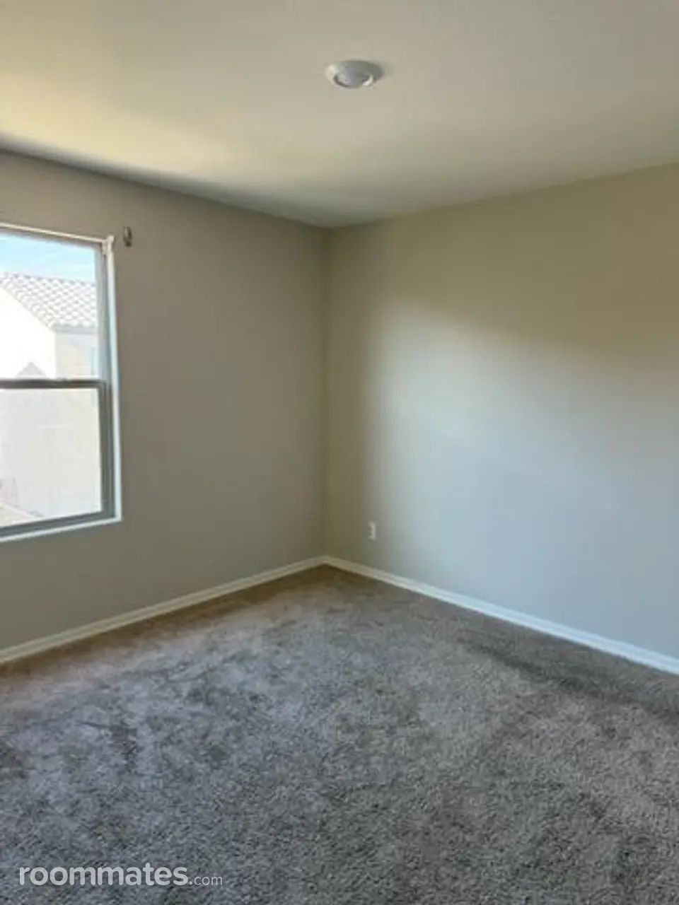 Profile photo 5 of 11